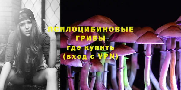 PSILOCYBIN Ельня