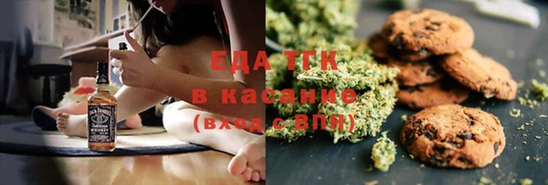 PSILOCYBIN Ельня