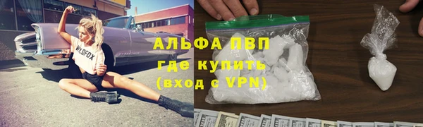 PSILOCYBIN Ельня