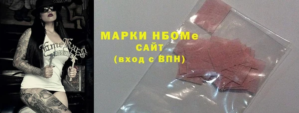 PSILOCYBIN Ельня