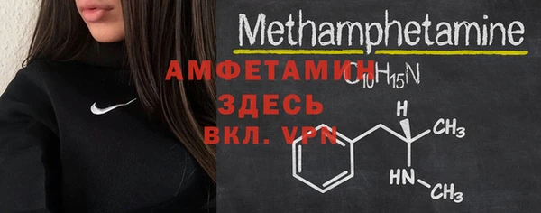 PSILOCYBIN Ельня