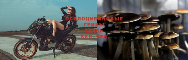 PSILOCYBIN Ельня
