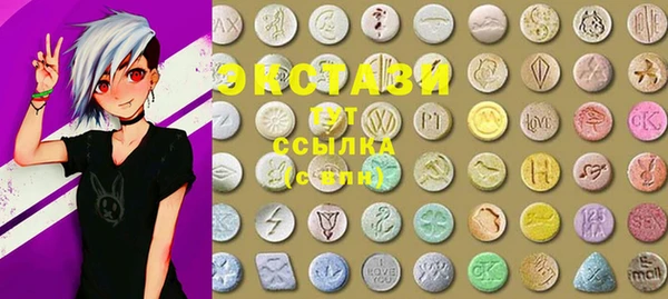 PSILOCYBIN Ельня