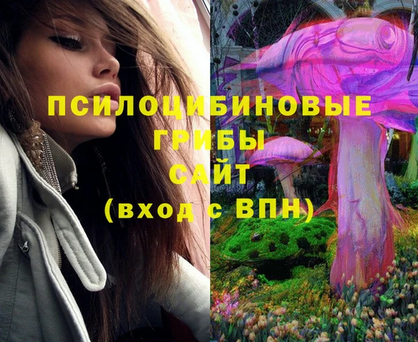 PSILOCYBIN Ельня
