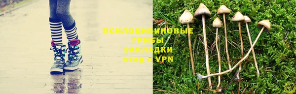 mdma Елизово