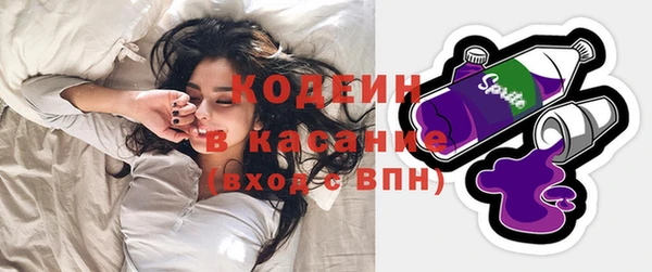 PSILOCYBIN Ельня