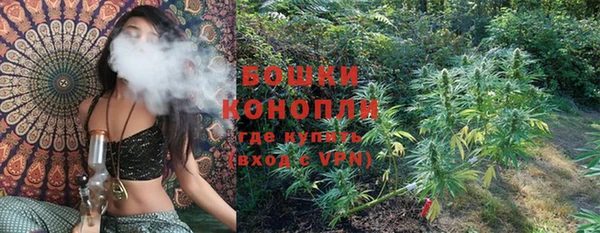 PSILOCYBIN Ельня