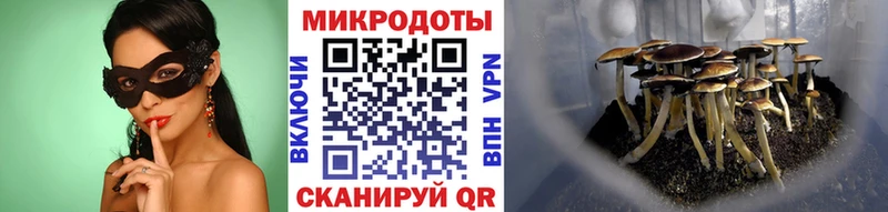 Купить закладки  Козьмодемьянск  Галлюциногенные грибы мицелий 